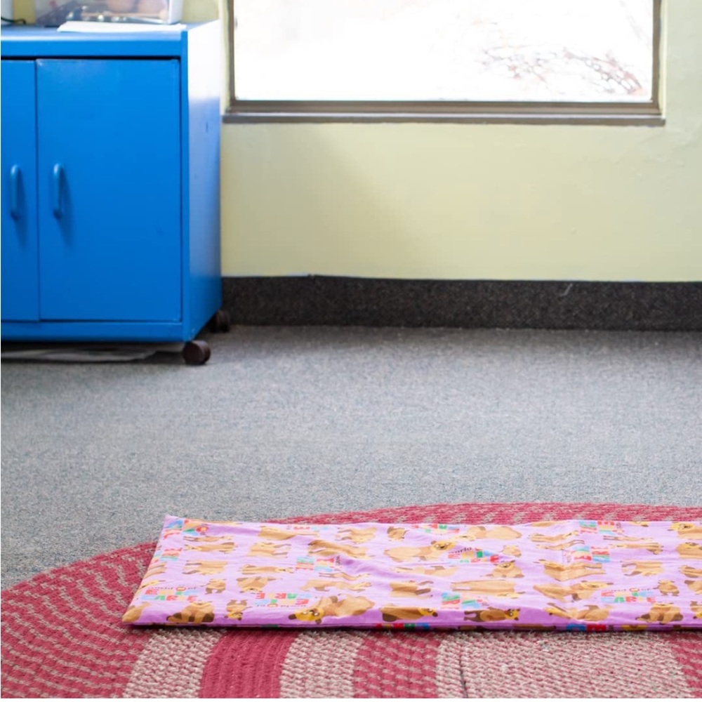 NWT✨ KinderMat Sheets Eric Carle - Full Nap Mat Washable Cover, Special Edition - Picture 5 of 7